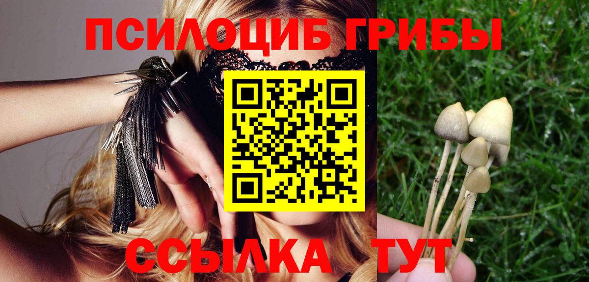 Чита  Псилоцибиновые грибы мицелий  магазин    Вход с VPN 